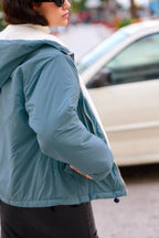 Guzmania Parka - Steel