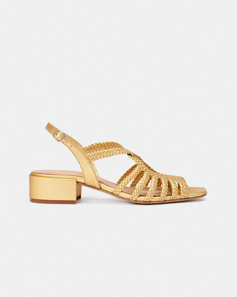 Raco Oro Low
