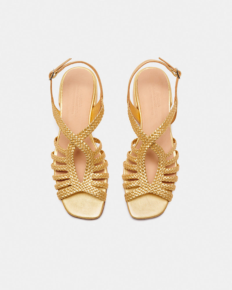 Raco Oro Low