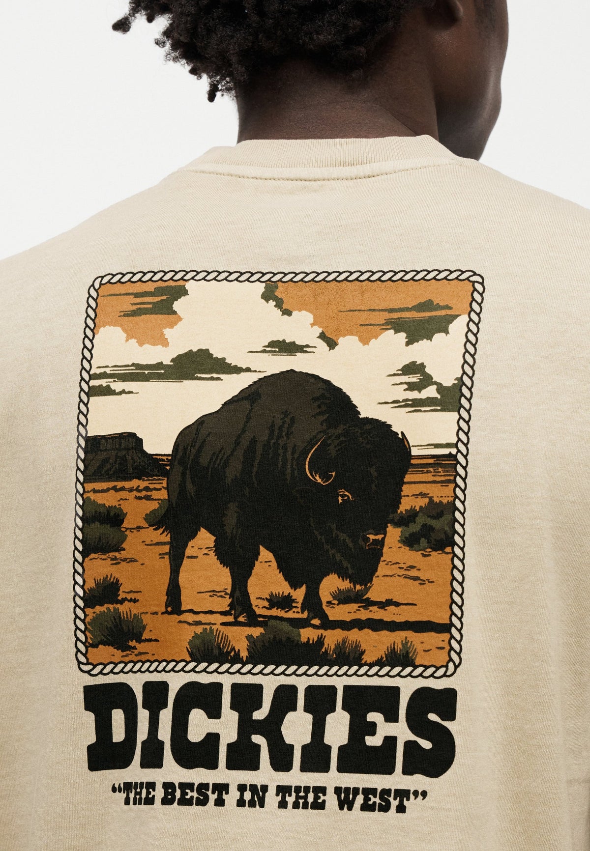 Camiseta De Peso Medio Darrtown - Eucalyptus