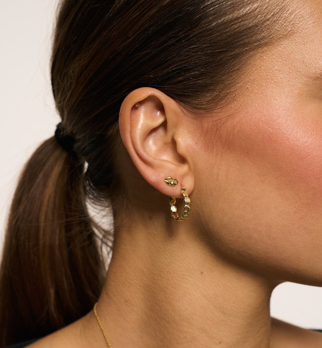 Puce D'Oreille Bisou (À L'Unité)