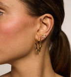 Puce D'Oreille Palmier Petit Modèle (À L'Unité)