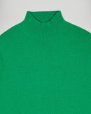 Pull Col Montant Bande Manche Contrastée - Wild Green - Femme