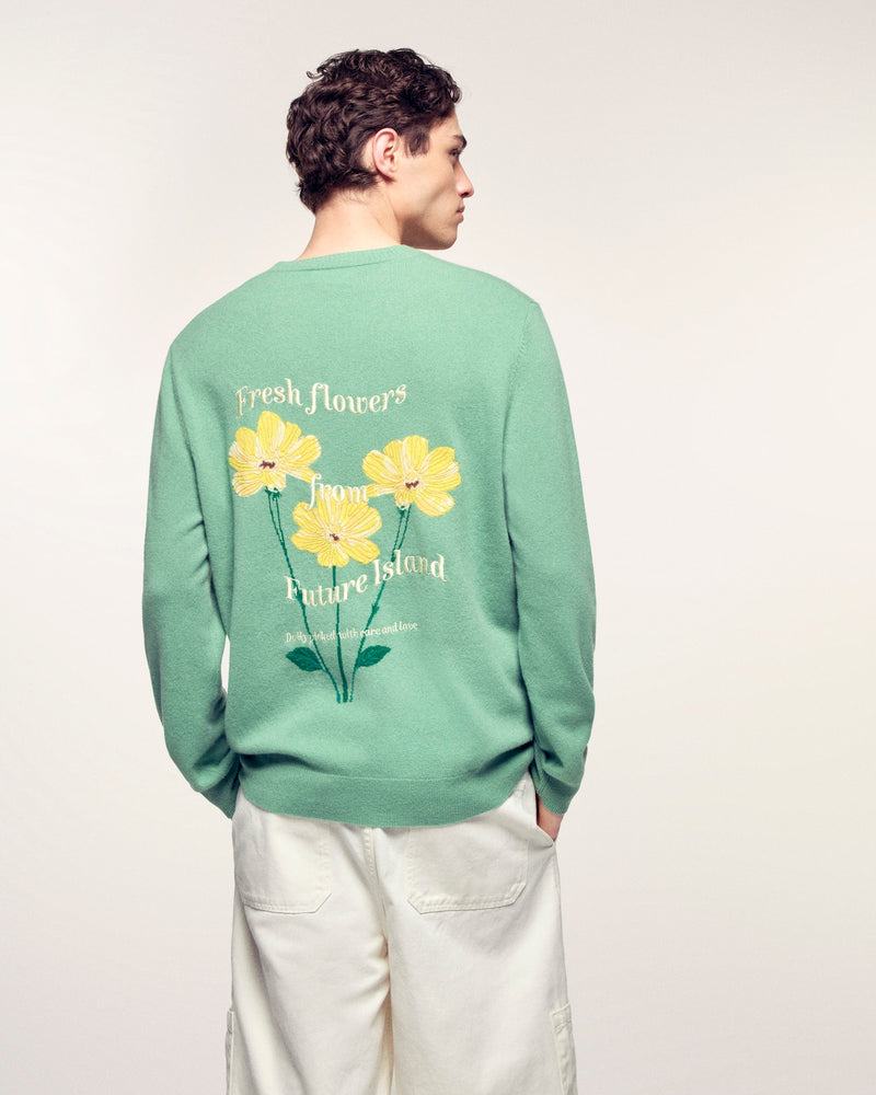 Pull Col Rond Motif Jacquard Et Broderie