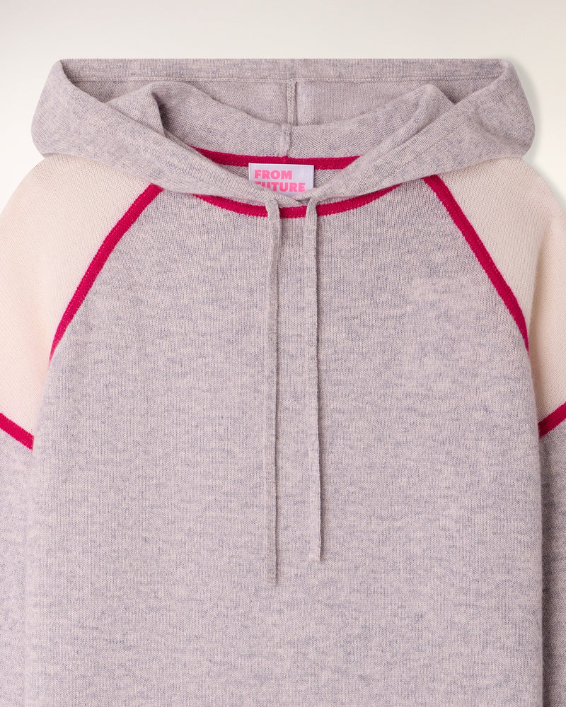 Pull Hoodie Tricolore