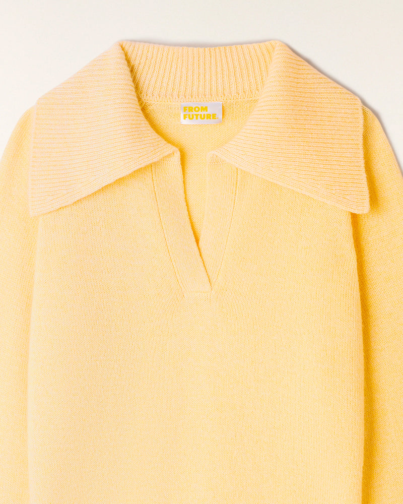 Pull Grand Col Polo