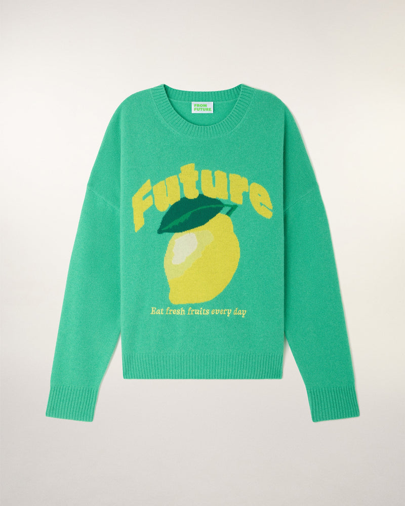 Pull Col Rond Motif Future Intarsia