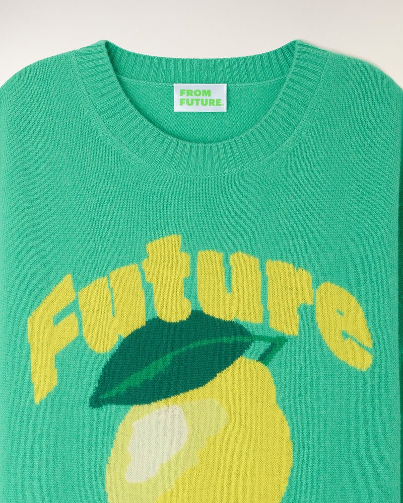 Pull Col Rond Motif Future Intarsia