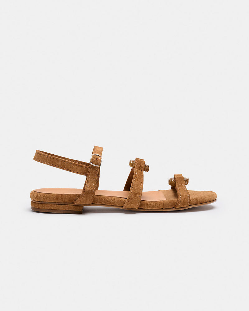 Arousa Camel
