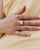 anillo amoremio
