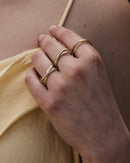 anillo tadi