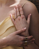 anillo tadi