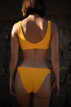 Bas Alix Tournesol