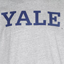 T-Shirt Champion Crewneck - Gris, Bleu