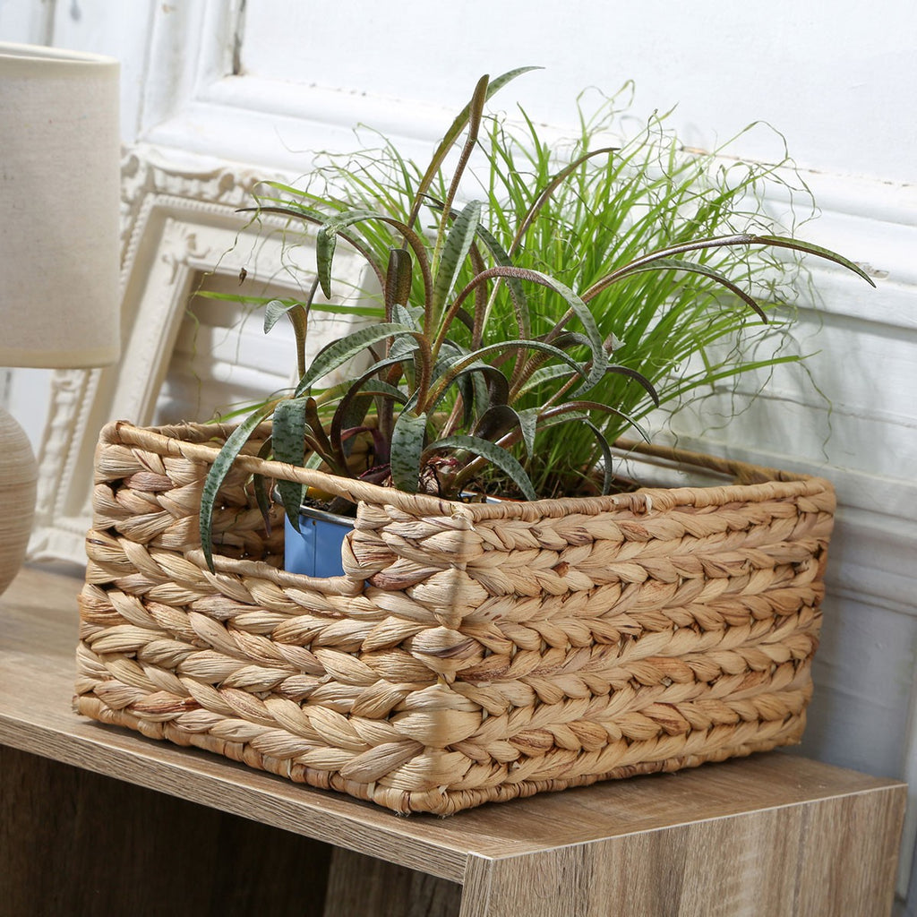 Basket - Water Hyacinth