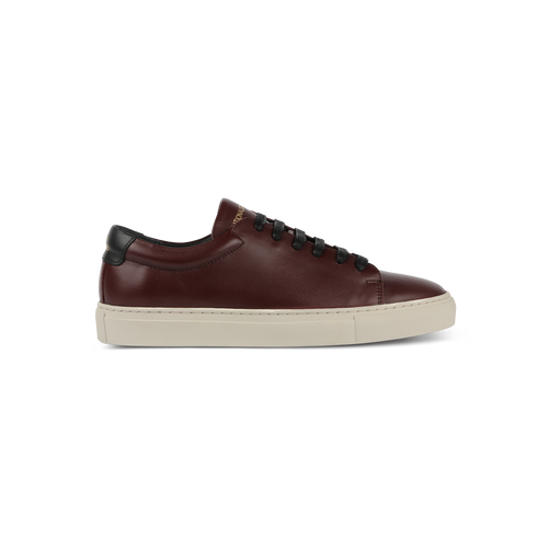 Sneakers Edition 3 Wine Black