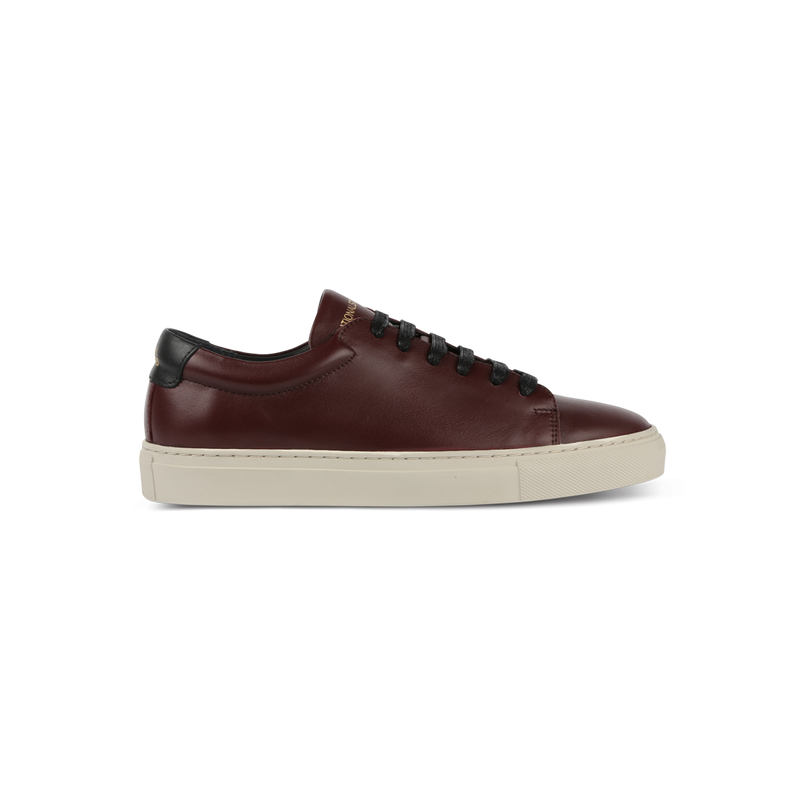 Sneakers Edition 3 Wine Black