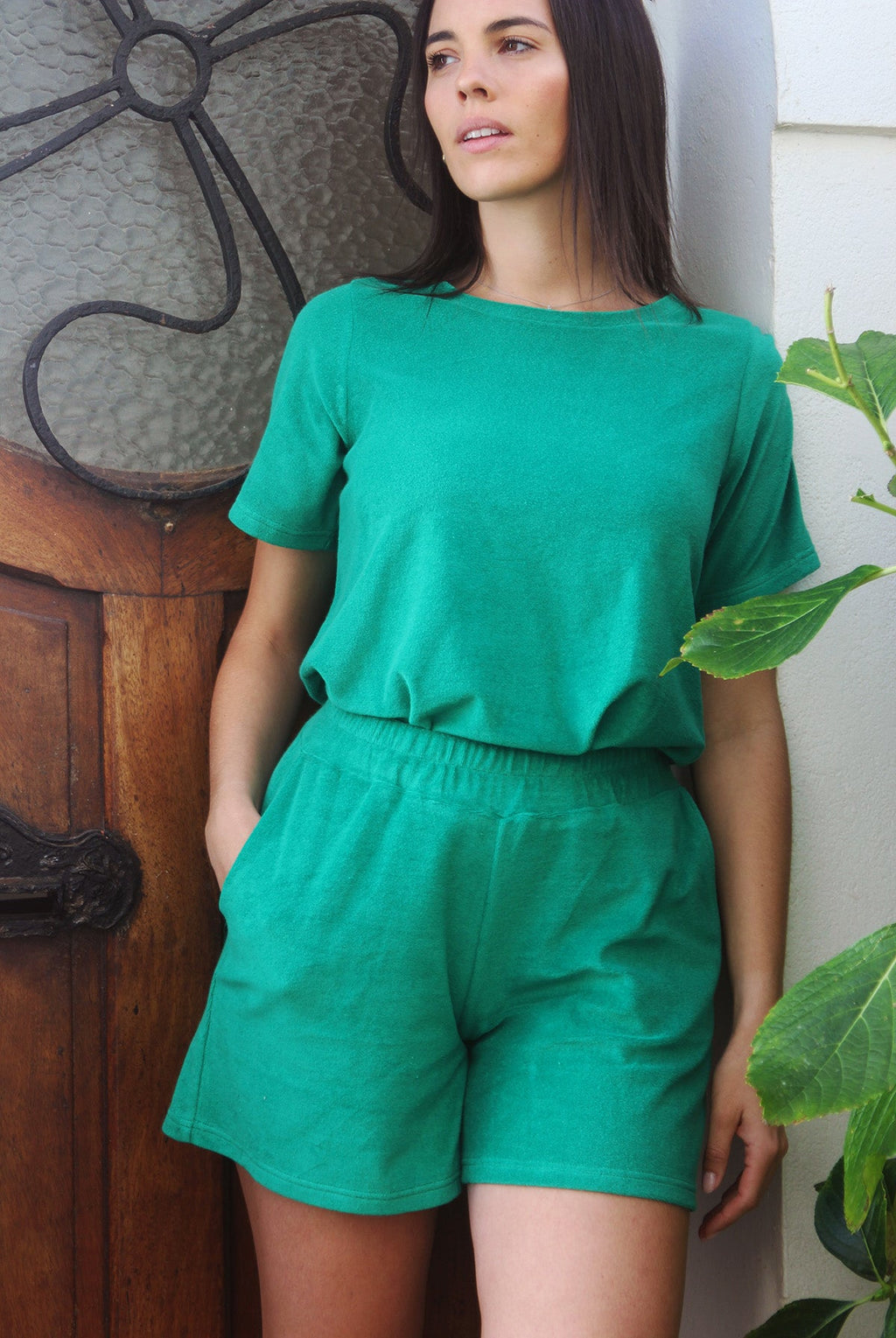 Short Dan Vert