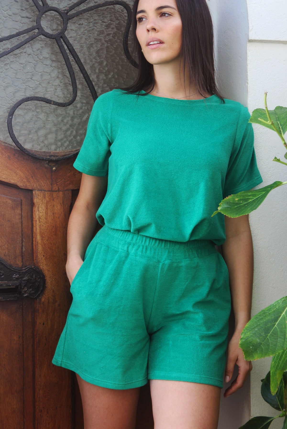 Short Dan Vert