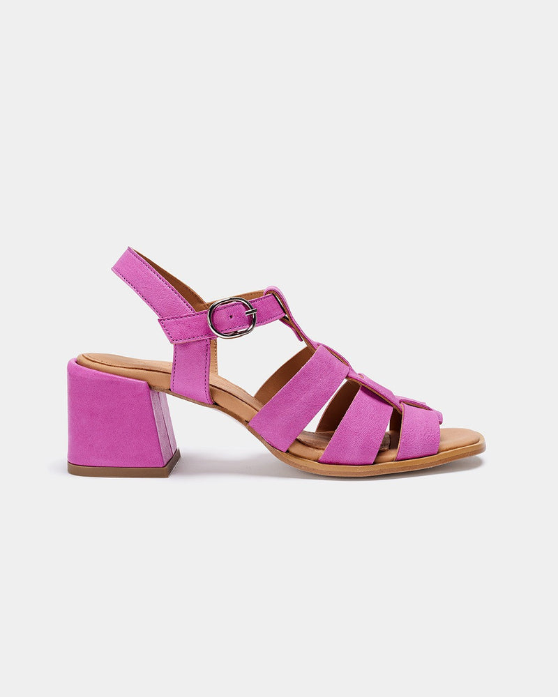 Alosa Fucsia