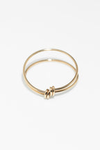 Double Essential Ring