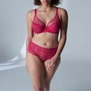 Shorty Reve - Rosa