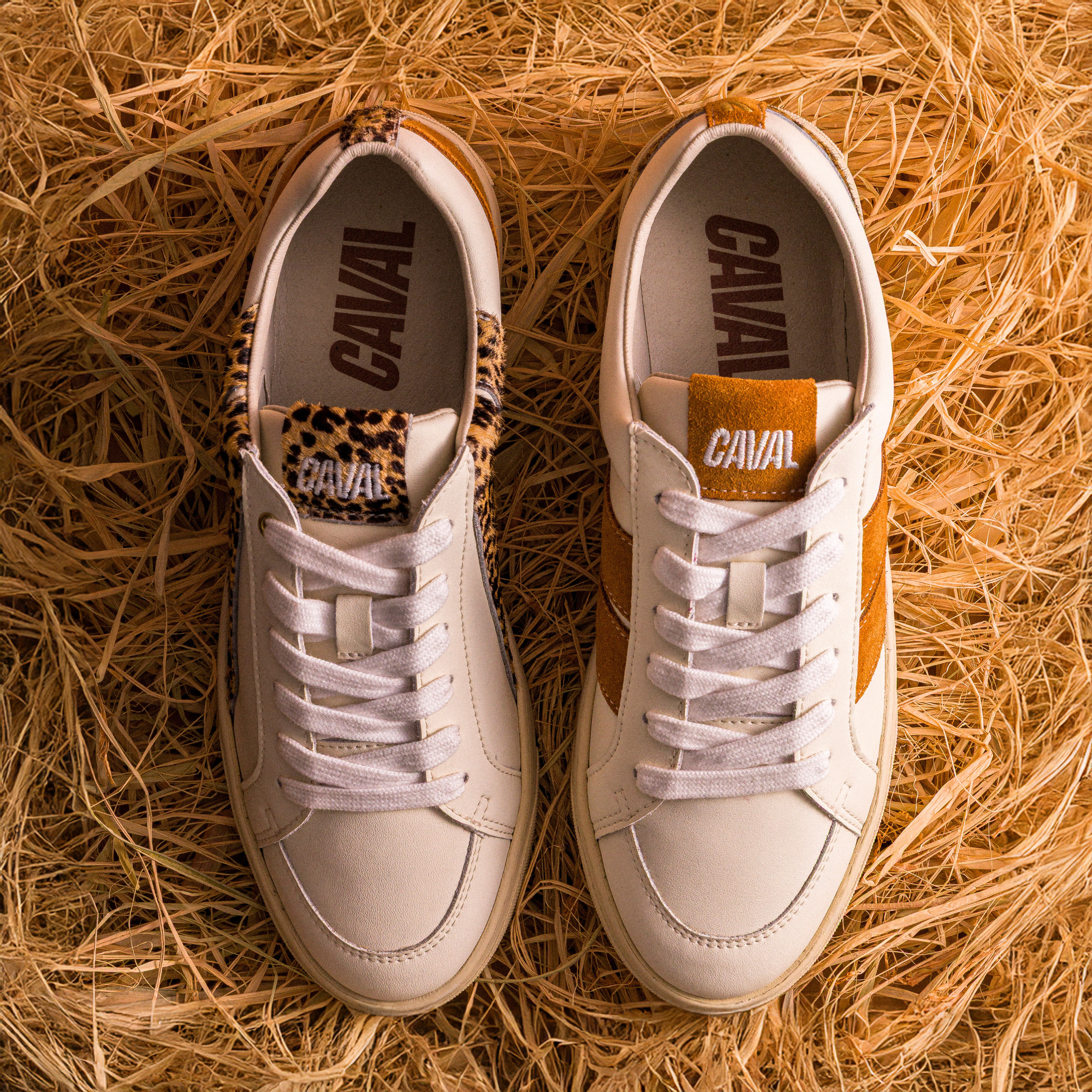 Baskets Leo Shade
