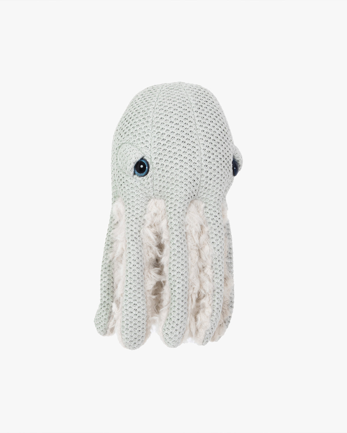 The Mini Octopus