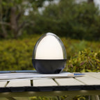 Ovie - Lampe De Table Sans Fil - Acier - Noir