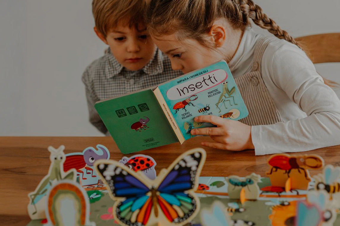 SASSI à bas prix sur THE BRADERY