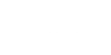 Logo Chillsilk