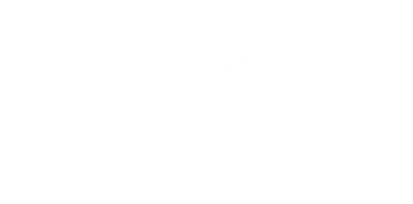 Logo Palas