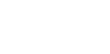 Logo Bobochic