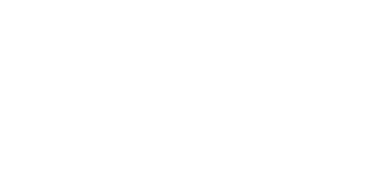 Logo Paige