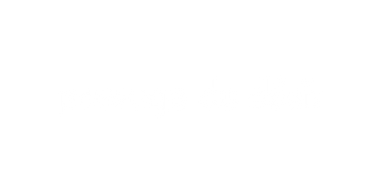 Logo Passage du Désir x Hyyo