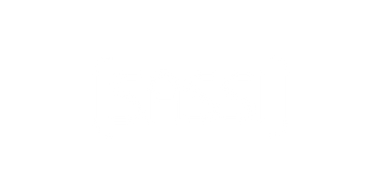 Logo Sassi