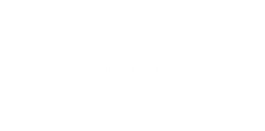 Logo Taurus