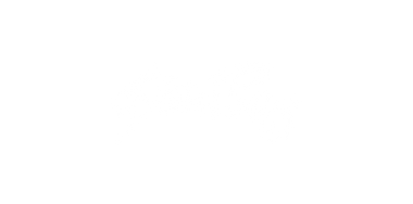 Logo Stan Ray