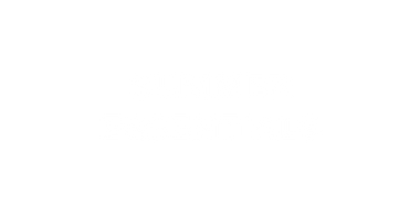 Logo Summer Essentials