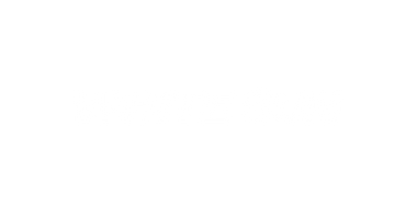 Logo White Sun