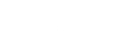 Logo Wonderskin