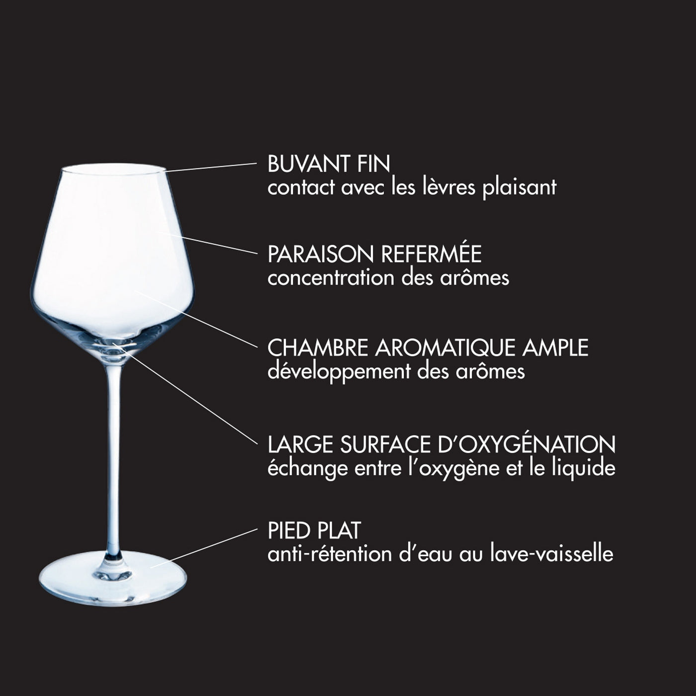 Diamantis - Juego de 8 Copas de Pie de 29Cl y 8 Copas de 23Cl - Expert Crystalline - Translúcido