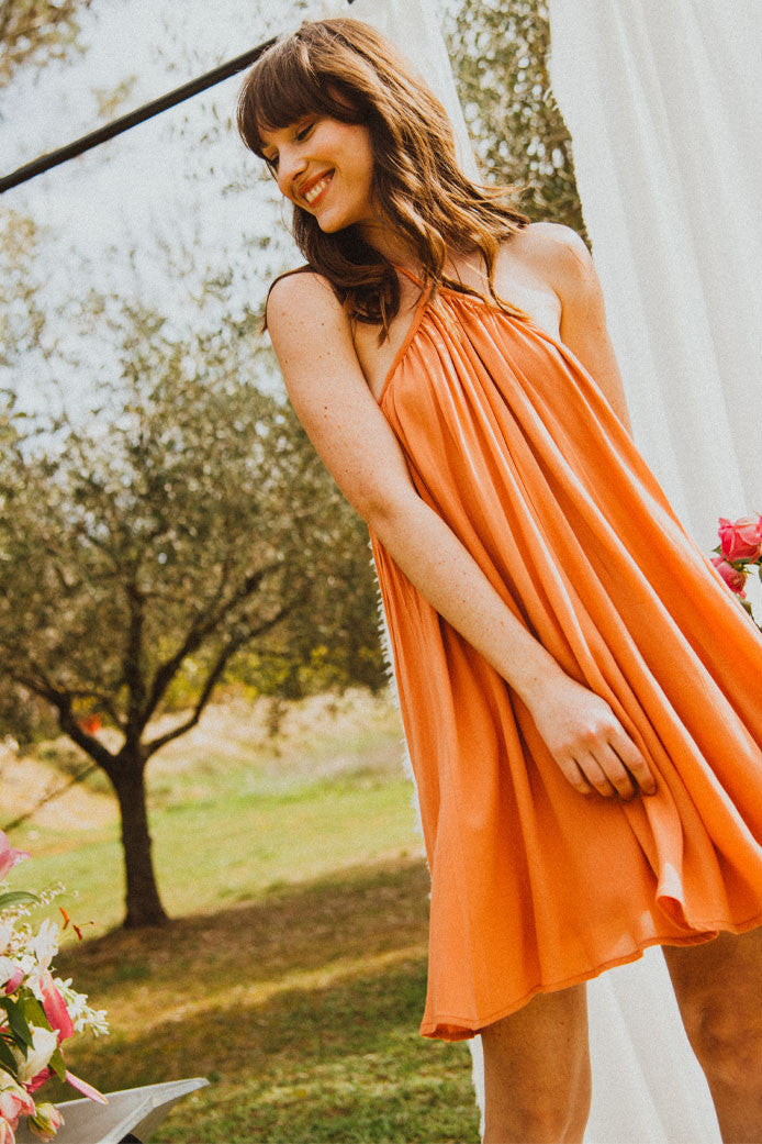 Nanette Clay Dress