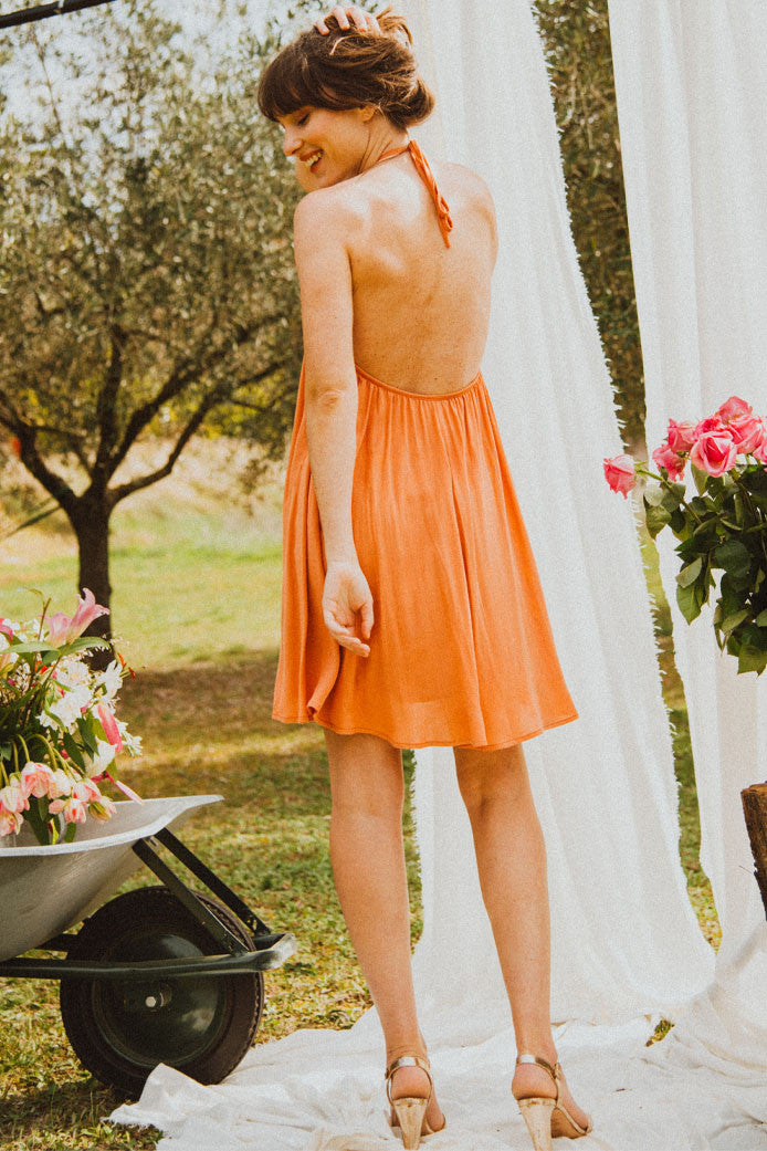 Nanette Clay Dress