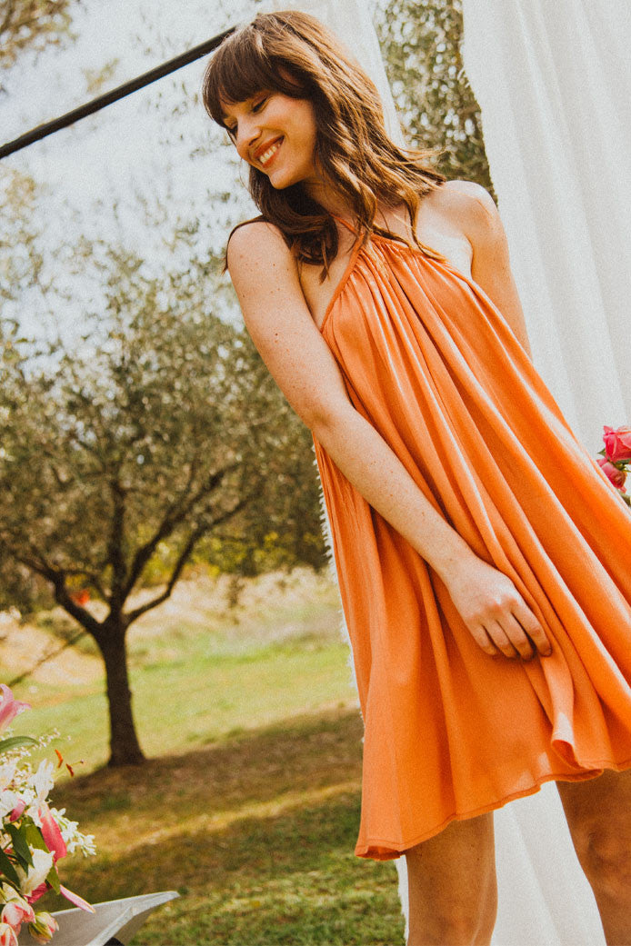 Nanette Clay Dress