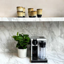 Lot de 2 Caféiers Arabica – Plante d'Intérieur