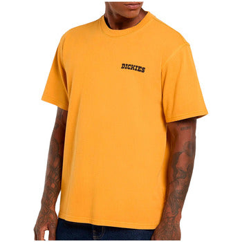 T-shirt a maniche corte Dickies Darrtown Sunflower - T-shirt a maniche corte - Sunflower