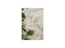 Alba - Long Pile Rug - Abstract Pattern