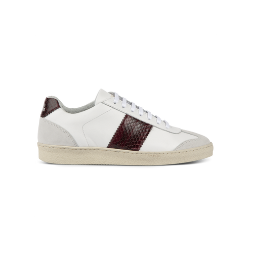 Sneakers Edition 4 Wine Pyhton