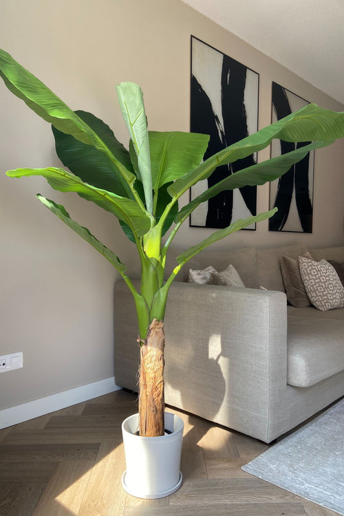 Bananier Artificiel – 150 Cm – Plante Artificielle